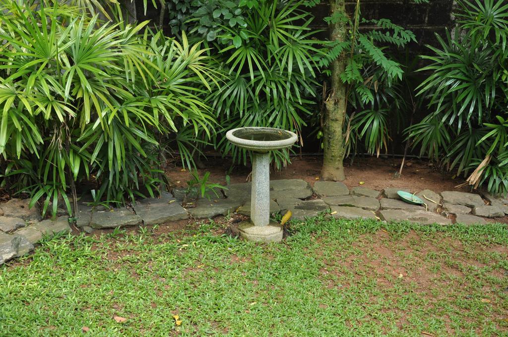 Bed and Breakfast Bangalawa Nawala Exterior foto