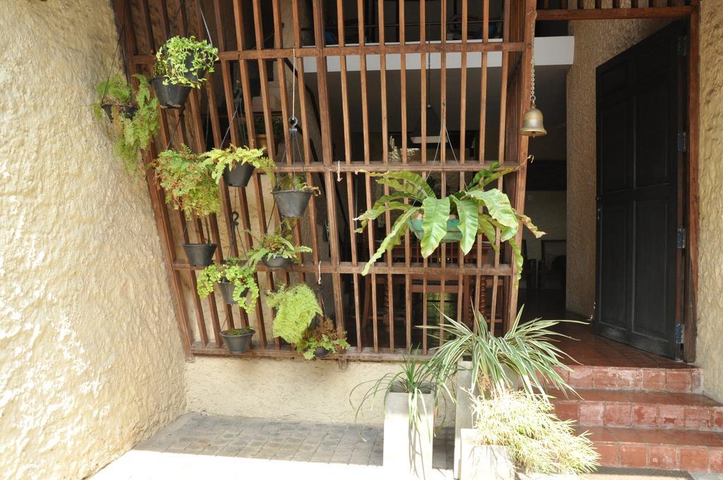 Bed and Breakfast Bangalawa Nawala Exterior foto